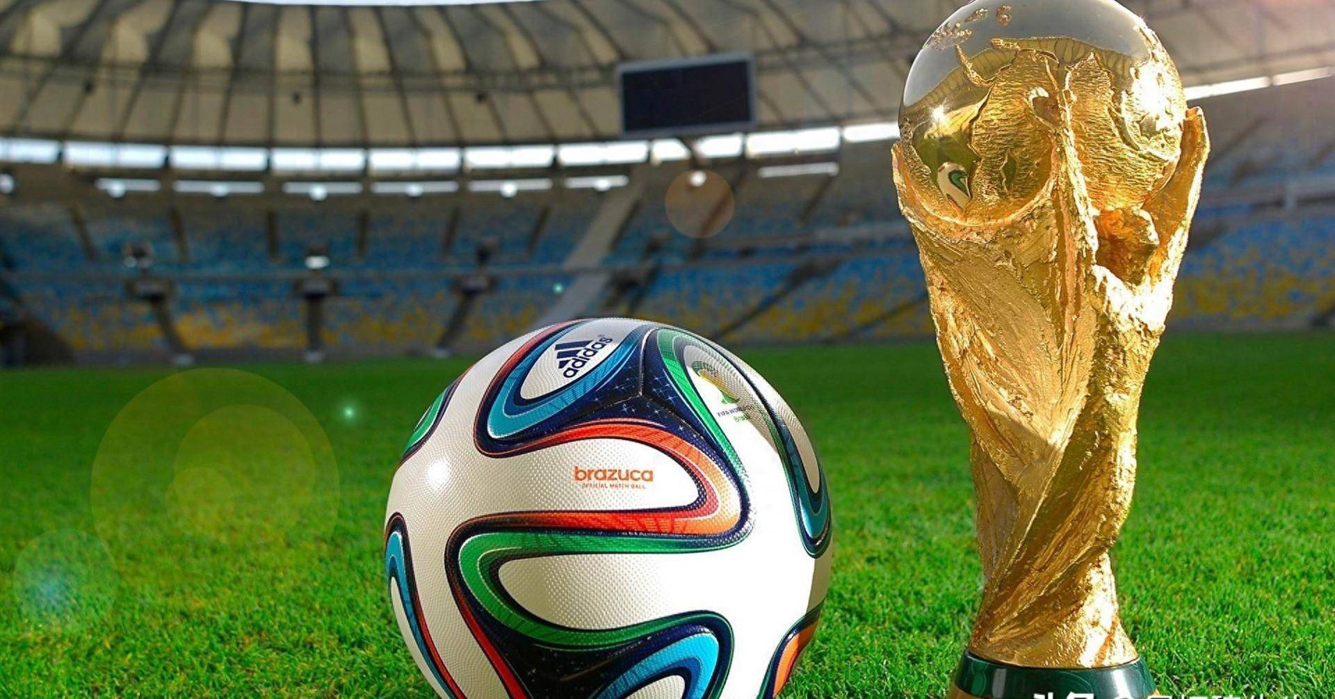 也让我们看 也让我们看